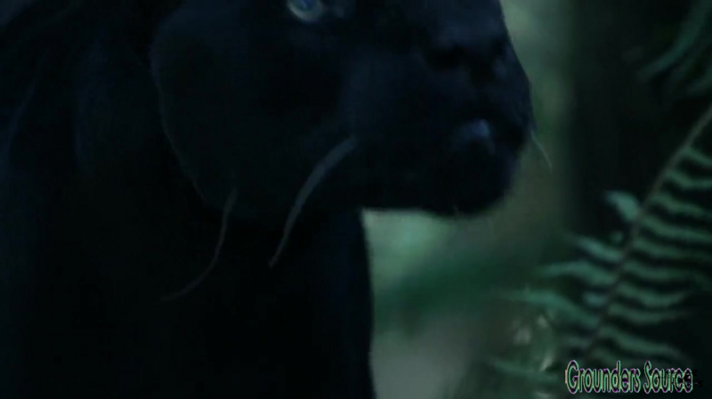 The 100 Season 3 Sneak Peek We Are Survivors iTunes Exclusive-3615
