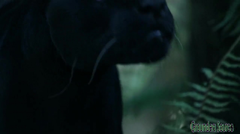 The 100 Season 3 Sneak Peek We Are Survivors iTunes Exclusive-3614
