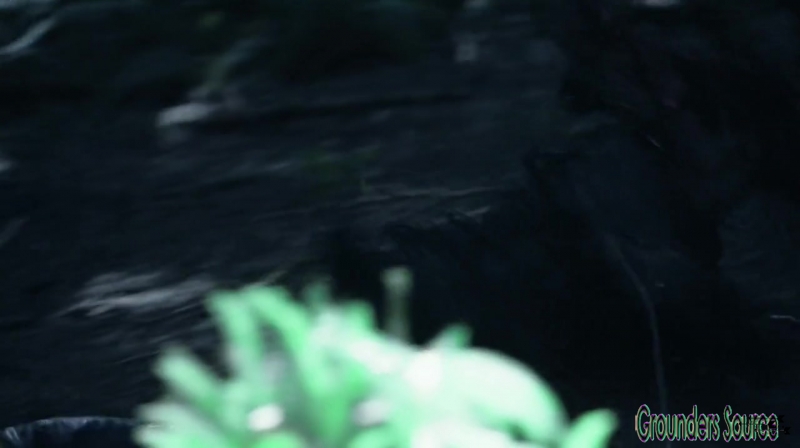 The 100 Season 3 Sneak Peek We Are Survivors iTunes Exclusive-3596
