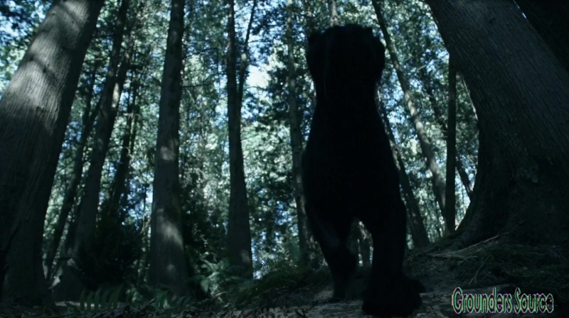 The 100 Season 3 Sneak Peek We Are Survivors iTunes Exclusive-3568
