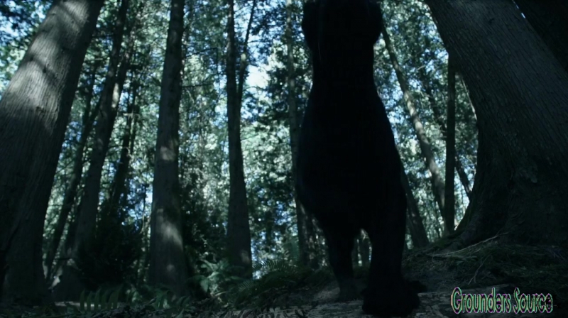 The 100 Season 3 Sneak Peek We Are Survivors iTunes Exclusive-3565

