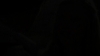the_100_survivors_0315.jpg