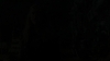 the_100_survivors_0710.jpg