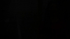 the_100_survivors_1103.jpg