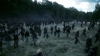 the_100_survivors_1256.jpg