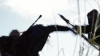 the_100_survivors_1260.jpg