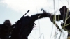 the_100_survivors_1261.jpg