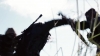 the_100_survivors_1262.jpg