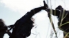 the_100_survivors_1265.jpg