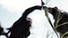 the_100_survivors_1267.jpg