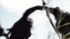 the_100_survivors_1268.jpg