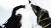 the_100_survivors_1269.jpg