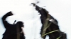 the_100_survivors_1271.jpg
