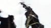 the_100_survivors_1272.jpg