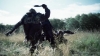 the_100_survivors_1291.jpg
