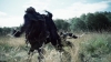 the_100_survivors_1295.jpg