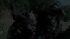 the_100_survivors_1313.jpg