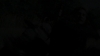 the_100_survivors_1315.jpg