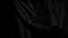 the_100_survivors_1321.jpg