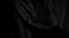 the_100_survivors_1322.jpg