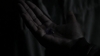 the_100_survivors_1324.jpg