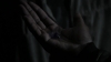 the_100_survivors_1325.jpg