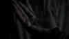the_100_survivors_1326.jpg