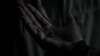 the_100_survivors_1327.jpg