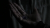 the_100_survivors_1328.jpg