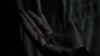 the_100_survivors_1331.jpg