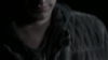 the_100_survivors_1362.jpg