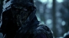 the_100_survivors_1503.jpg