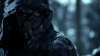 the_100_survivors_1504.jpg