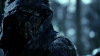 the_100_survivors_1505.jpg