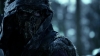 the_100_survivors_1506.jpg