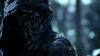 the_100_survivors_1508.jpg