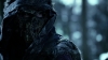 the_100_survivors_1509.jpg