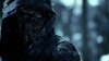 the_100_survivors_1511.jpg