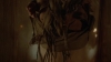 the_100_survivors_1529.jpg