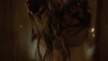 the_100_survivors_1531.jpg
