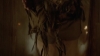 the_100_survivors_1532.jpg
