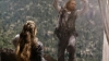 the_100_survivors_1565.jpg