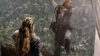 the_100_survivors_1567.jpg