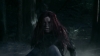 the_100_survivors_1606.jpg