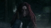 the_100_survivors_1613.jpg