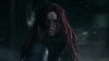 the_100_survivors_1614.jpg