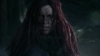 the_100_survivors_1623.jpg