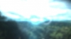 the_100_survivors_1685.jpg