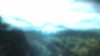 the_100_survivors_1688.jpg