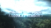 the_100_survivors_1693.jpg